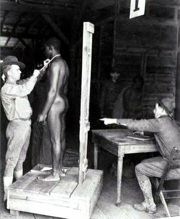 Подготовка раба к продаже, США. XIX век.jpg