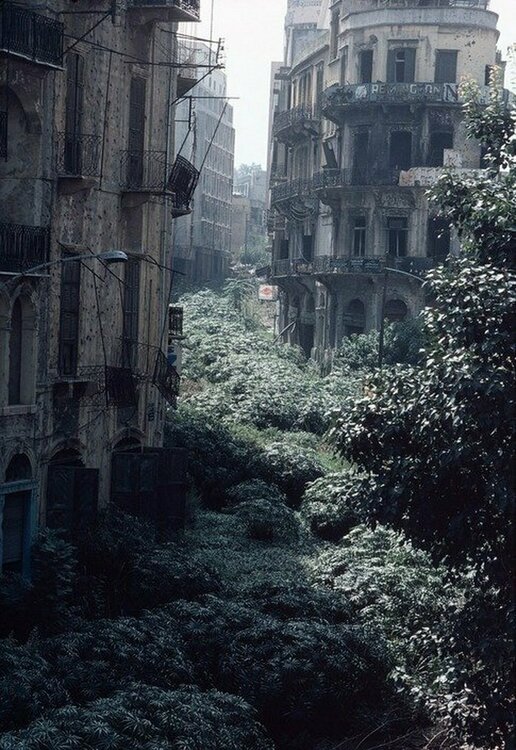Демаркационная зона «Зелёная линия». Бейрут, Ливан, 1982 год.jpg
