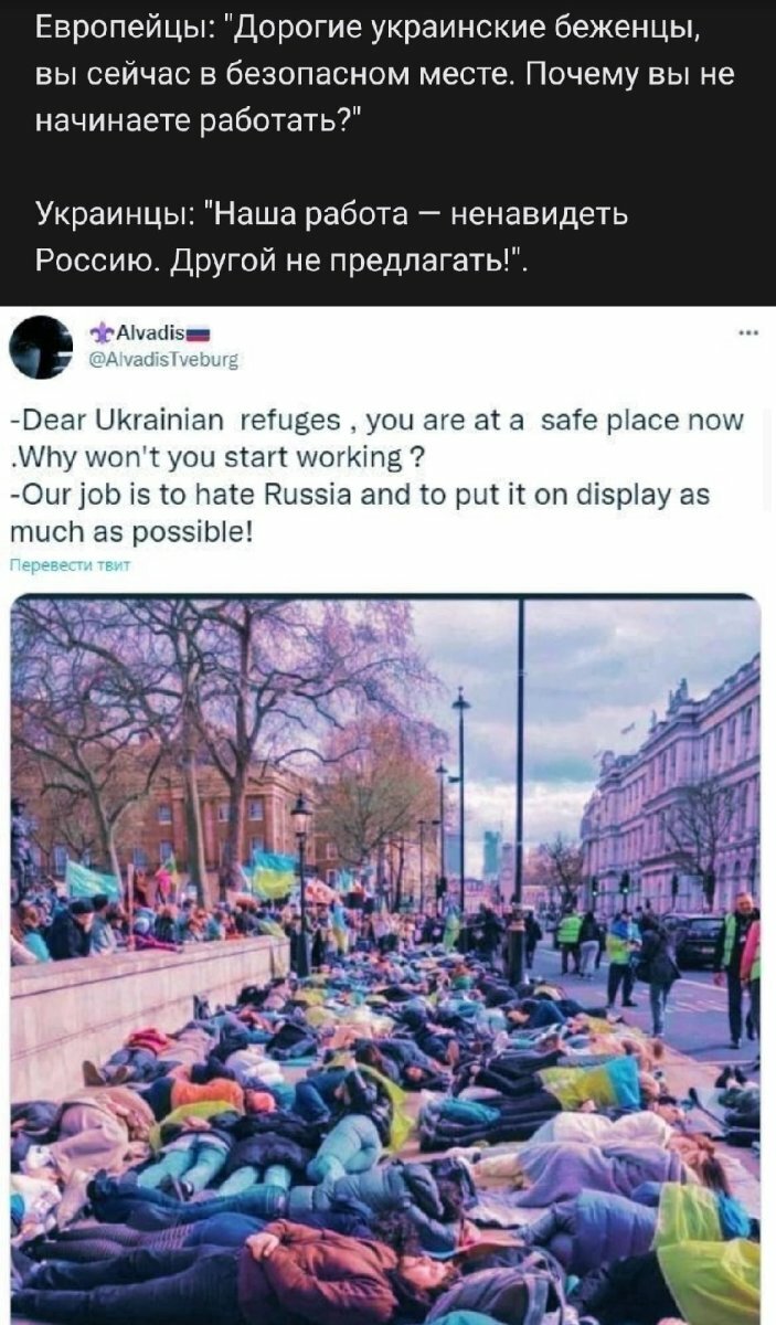 Украинцы обнаглели. Хохлы беженцы. Украинцы в Европе. Хохлы в Европе. Украинские беженцы в Европе.